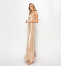 Load image into Gallery viewer, Crescent Taupe Sequin Dress